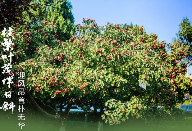 光影環科院-4.jpg